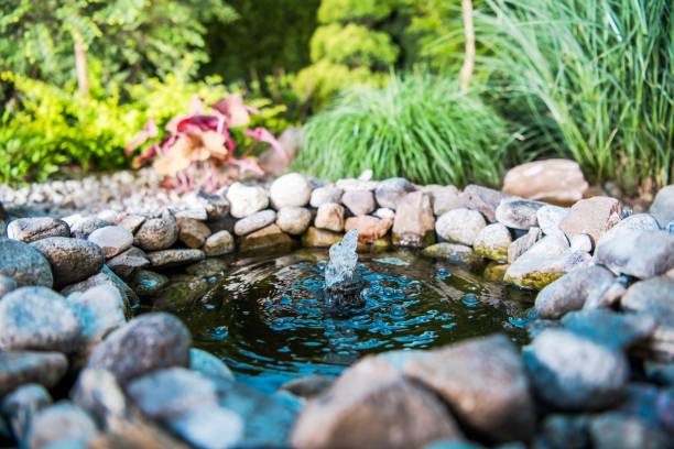 Pond installation St Louis Metro East Pond Service
